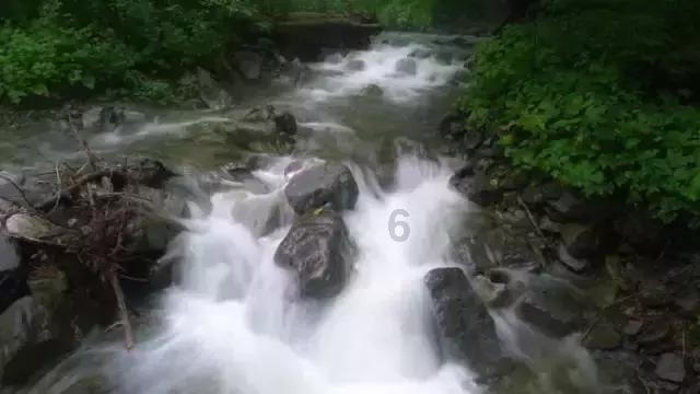 生化危机启示录2